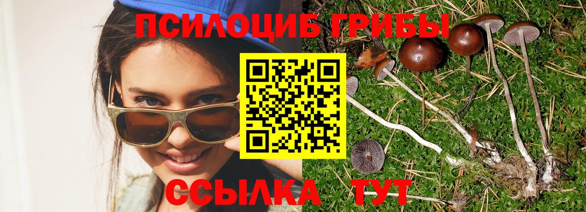 Псилоцибиновые грибы ЛСД  цена наркотик  Костомукша  Вход с VPN 