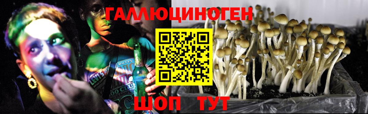 Костомукша  Вход с VPN  Кокаин  Магазин наркотиков  ГАШИШ  МЕФ  